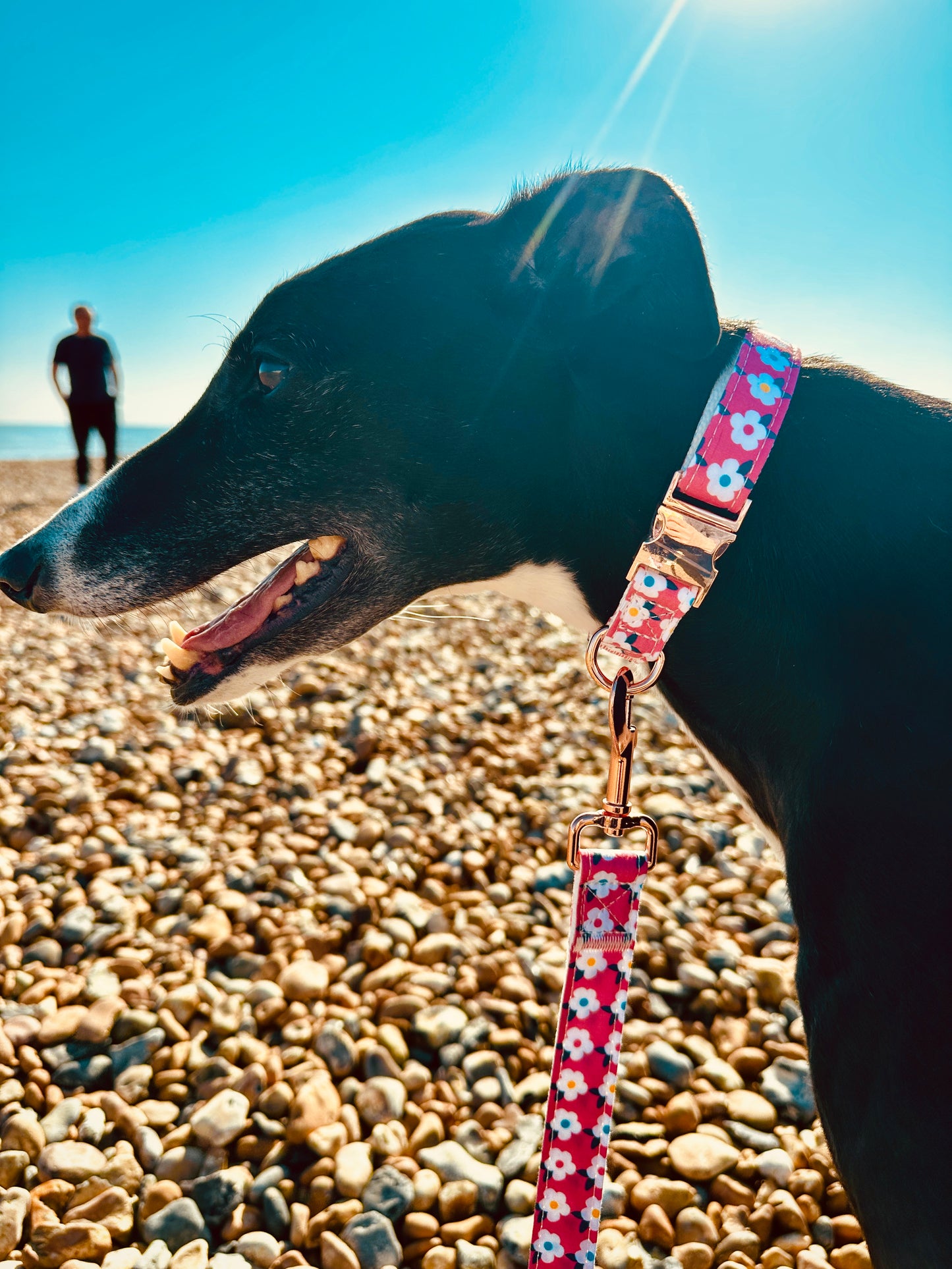 Retro Floral Dog Lead in Rose Pink with Rose Gold Hardware by happyhounds