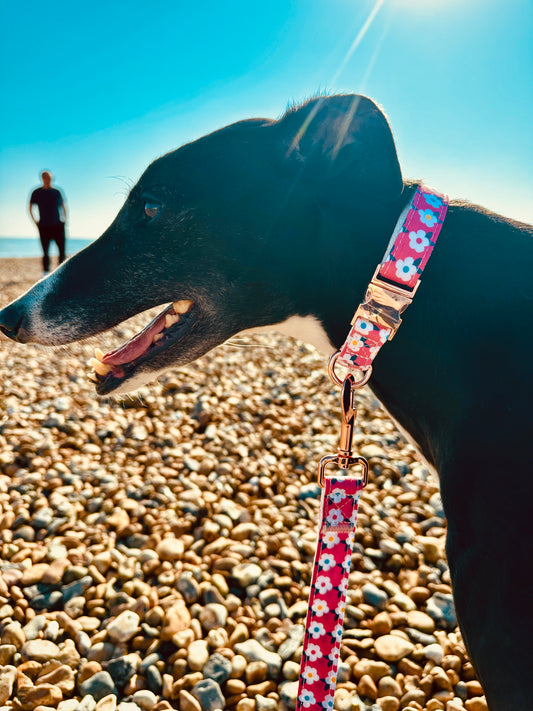 Retro Floral Dog Collar and Lead Set in Rose Pink with Rose Gold Hardware