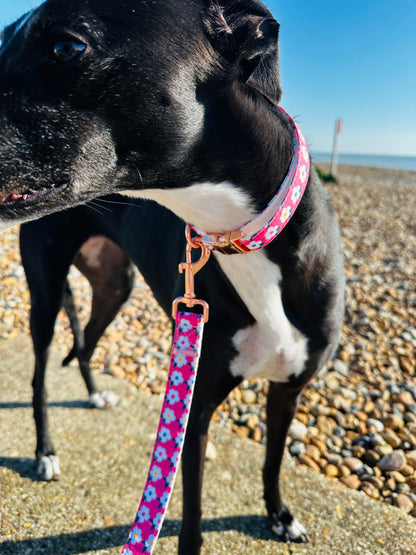 Retro Floral Dog Collar and Lead Set in Rose Pink with Rose Gold Hardware by happyhounds